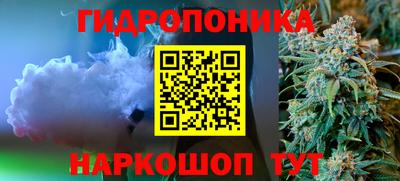 мдпв Нальчик