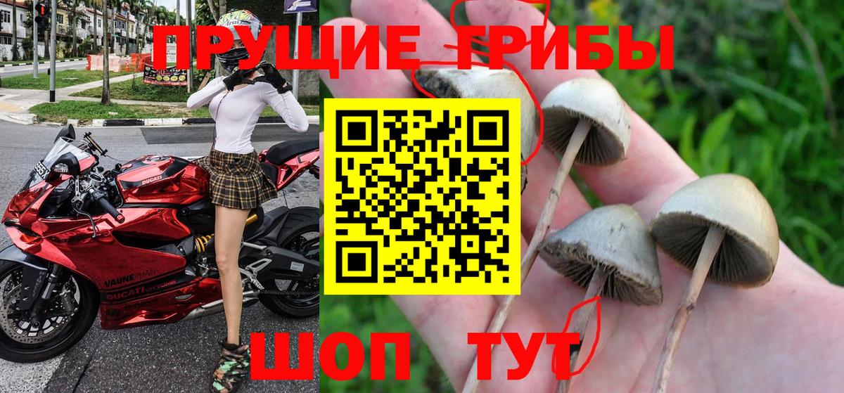 Урус-Мартан  Галлюциногенные грибы ЛСД  Галлюциногенные грибы прущие грибы  Вход с VPN 